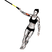 Suspender One-Arm Biceps Curl demonstration