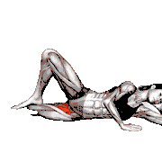 Bodyweight Side Lying Leg Adduction demonstration