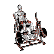 Lever Alternate Leg Extension (Plate Loaded)