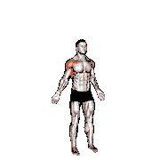 Bodyweight Standing Around World Wall Supported