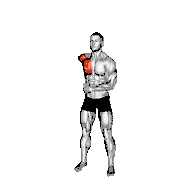 Cable Standing Single Arm Fly