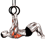 Ring Bent Knee Inverted Row