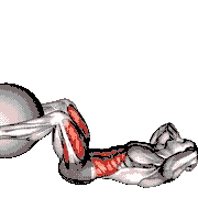 Leg Extension Crunch (with Stability Ball) demonstration