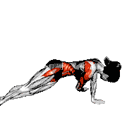 Side Plank Pull