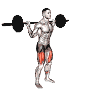 Barbell Pause Full Squat demonstration