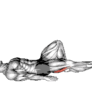 Single Leg Bridge with Outstretched Leg