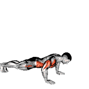 Push-Up with Twist
