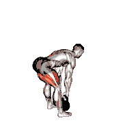 Kettlebell Romanian Deadlift