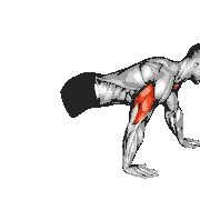 Push-Up Hand by Hand
