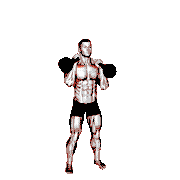 Kettlebell Alternating Press