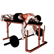 Barbell Lying Row on Rack demonstration