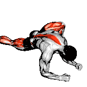 Lunge Warm Up