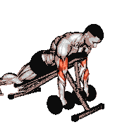 Dumbbell Reverse Spider Curl