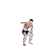 Cable One-Arm Lateral Bent-Over