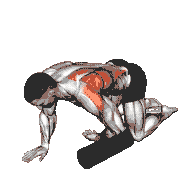 Roll Kneeling Upper Back Rotation