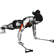 Band Push-Up demonstration
