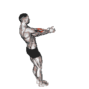 Doorway Biceps Curl