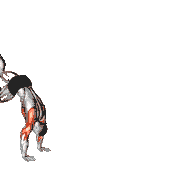 Handstand Walk
