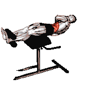 Glute Ham Twist