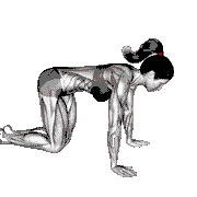Cat Stretch demonstration