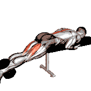Dumbbell Reverse Hyperextension on Bench