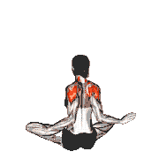 Seated Ballerina