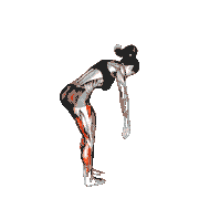 Standing Reach Down Hamstring Crossed Legs Stretch