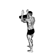 Roll Forearms Standing Against Wall