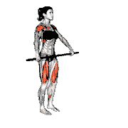 Overhead Lunge