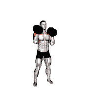 Dumbbell Standing Alternate Overhead Press
