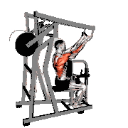 Lever Reverse Grip High Row (Plate Loaded)