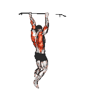 Rocky Pull-Up Pulldown