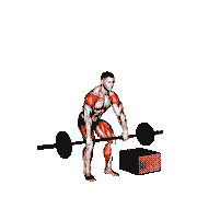 Barbell Power Snatch from Blocks demonstration
