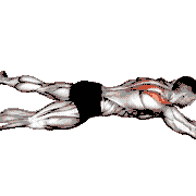 Lying Prone Y Raise