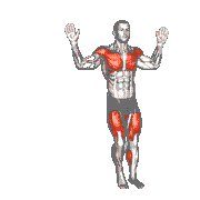 Chest Fly Side Step
