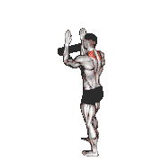 Foam Roll Serratus Wall Slide