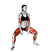 Sumo Quarter Squat Tip Toe with Arms Curl