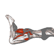 Lying Double Glute Lift
