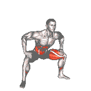 Sumo Hip Twist Stretch