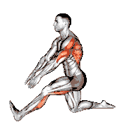 Kneeling Toe-Up Hamstring Stretch
