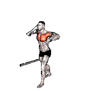Band Low Alternate Chest Press demonstration