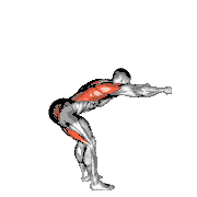 Bodyweight Good Morning Row