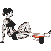 Roll Calves (Single Leg)