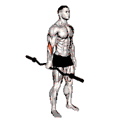 EZ Bar Standing Single-Arm Neutral Wrist Curl