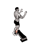Single Leg Calf Raise Off Step