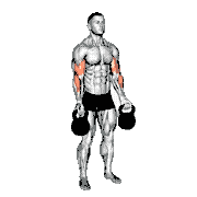 Kettlebell Biceps Curl