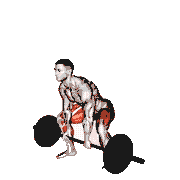 Barbell Paused Sumo Deadlift