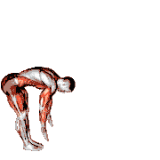 Inchworm and Plank Leg Lift
