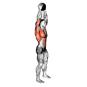 Medicine Ball Catch and Overhead Throw