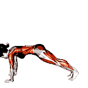 Tiger Curl Pose